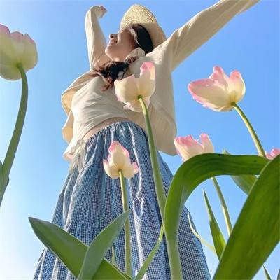 惊声尖笑6 在线观看