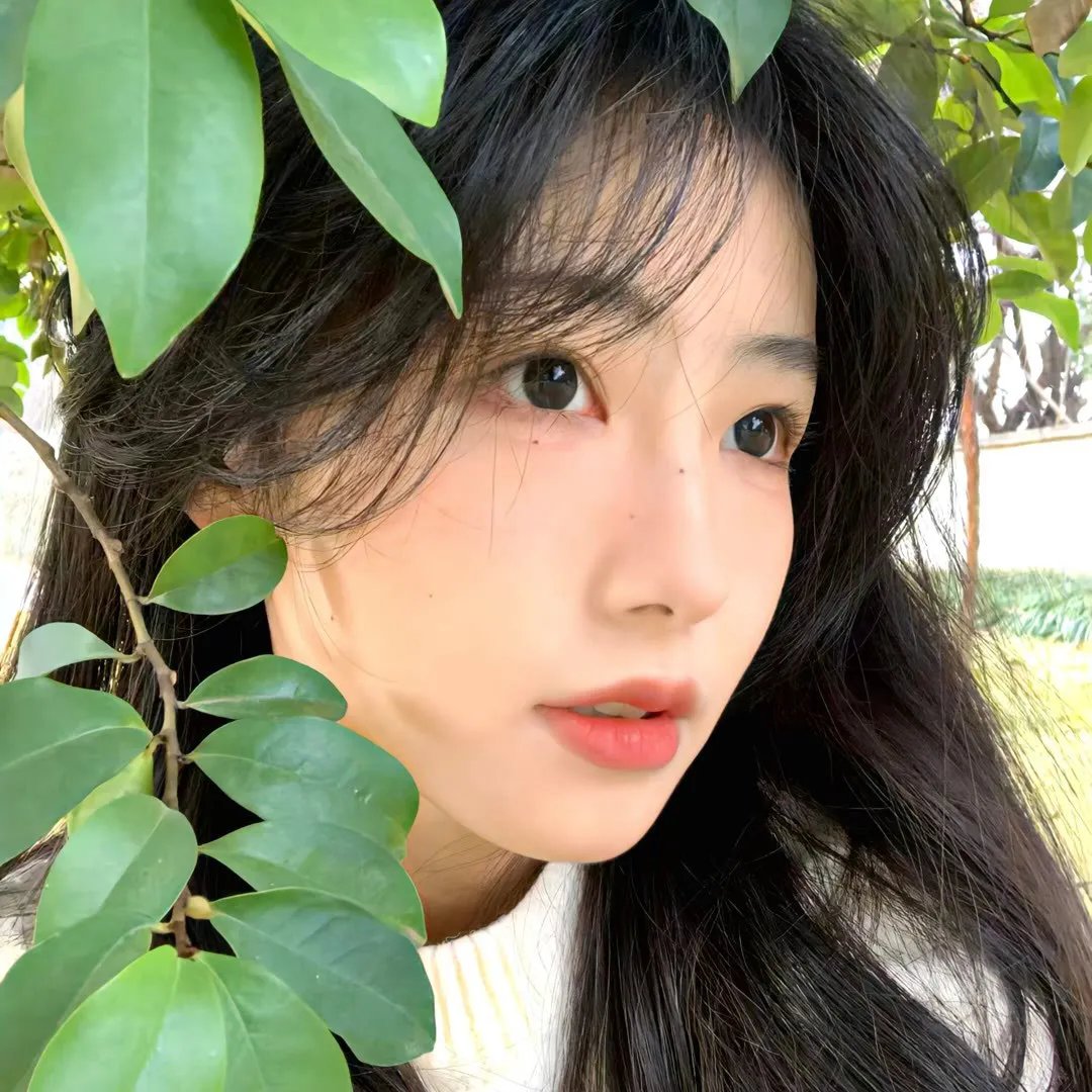午夜下的刺花 在线观看