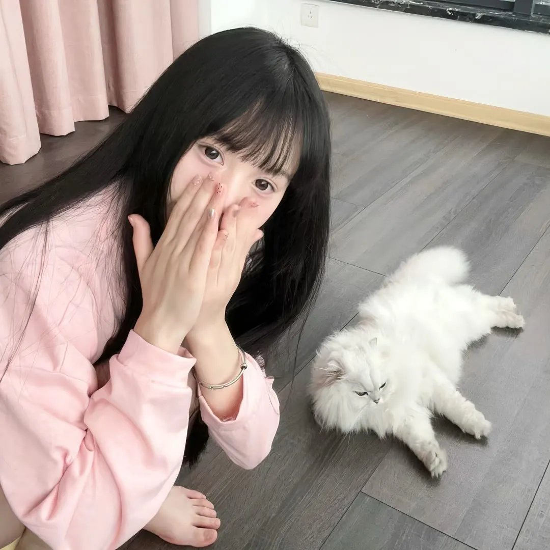 假面骑士极狐 在线观看